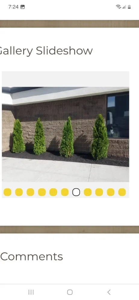 Affordable yard cleanup service for outdoor upgrades across Whitesboro, NY - Yaddow's Seasonal Services