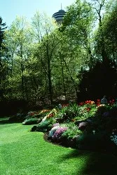Reliable landscaping services for residential properties in Somerset, NJ by Yager Lawn Maintenance