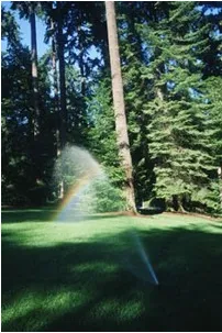 Professional lawn care service experts serving Somerset, NJ - Yager Lawn Maintenance