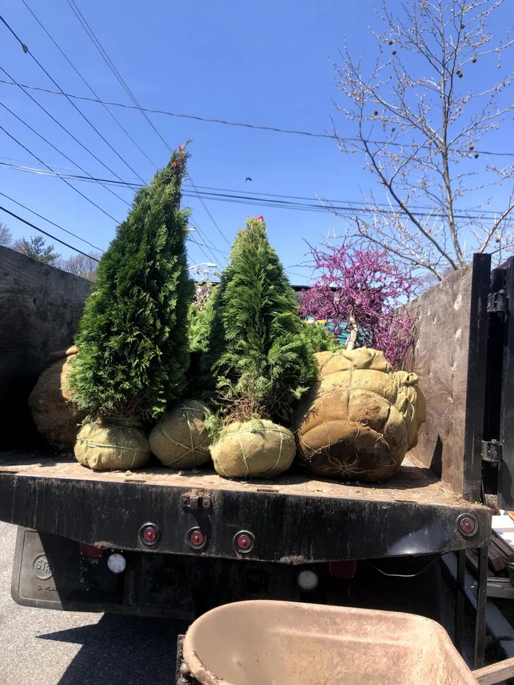 Affordable landscape design near you in Clifton, NJ by Yagins Construction & Landscaping