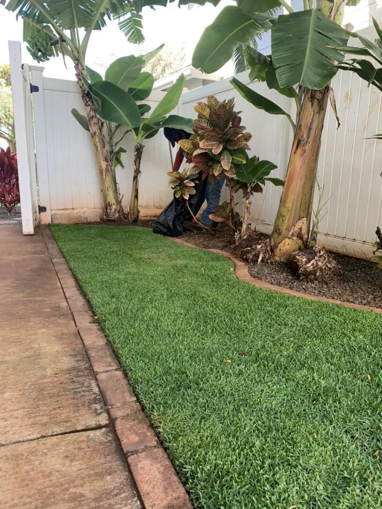 Local lawn mowing service in Honolulu, HI by Yago Landscape