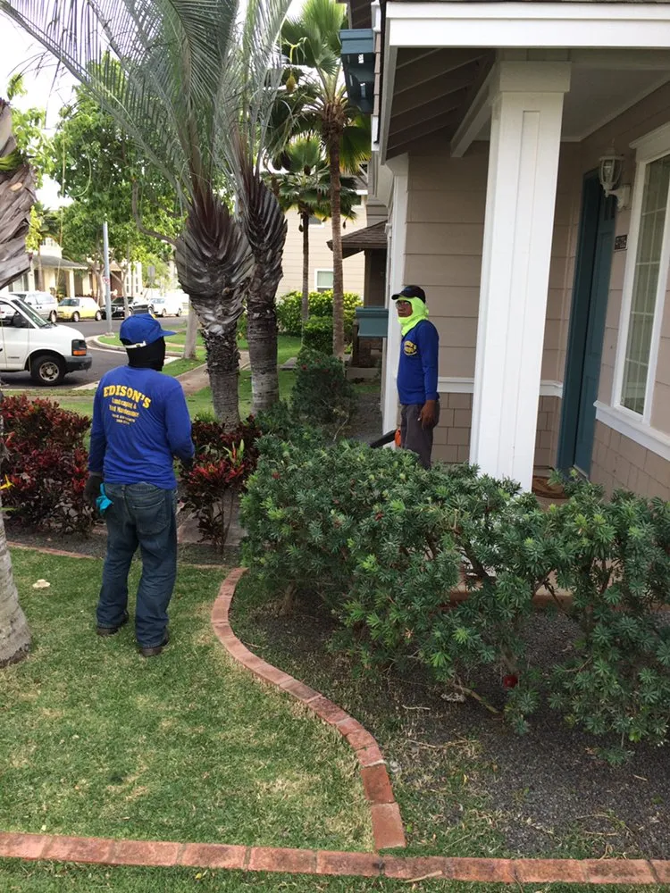 Trusted yard maintenance experts serving Honolulu, HI - Yago Landscape