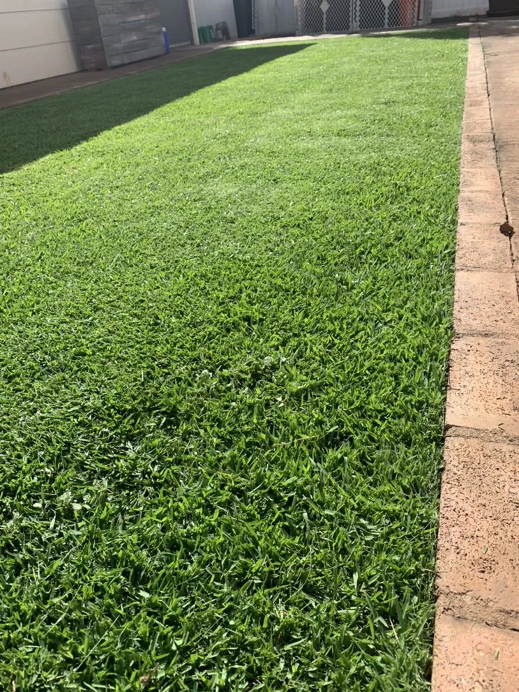 Trusted lawn care service in Honolulu, HI - Yago Landscape