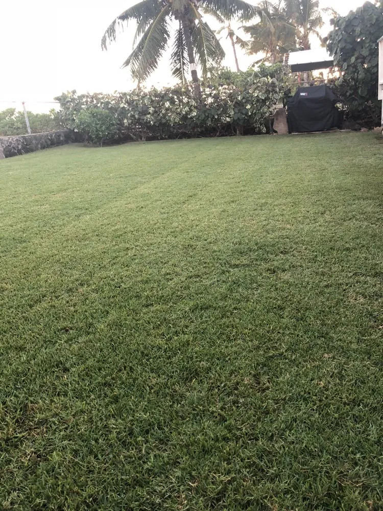 Affordable lawn care service in Honolulu, HI - Yago Landscape