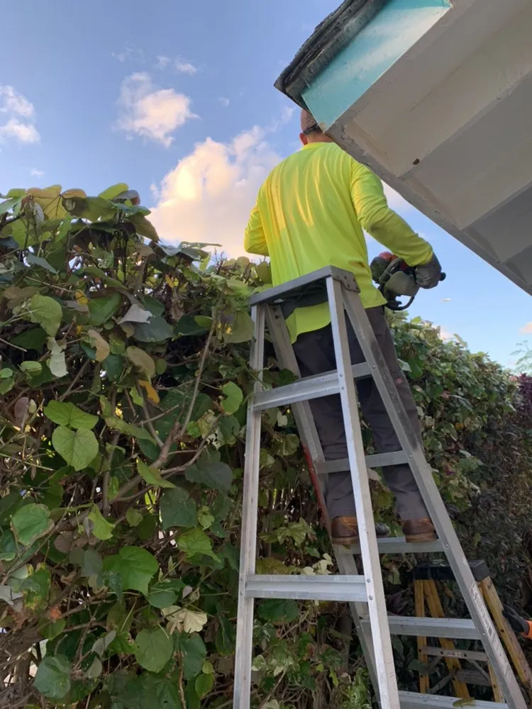 Custom garden landscaping experts serving Honolulu, HI - Yago Landscape