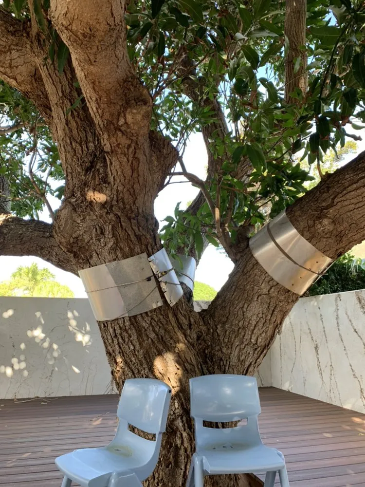 Affordable residential landscaping experts serving Honolulu, HI - Yago Landscape