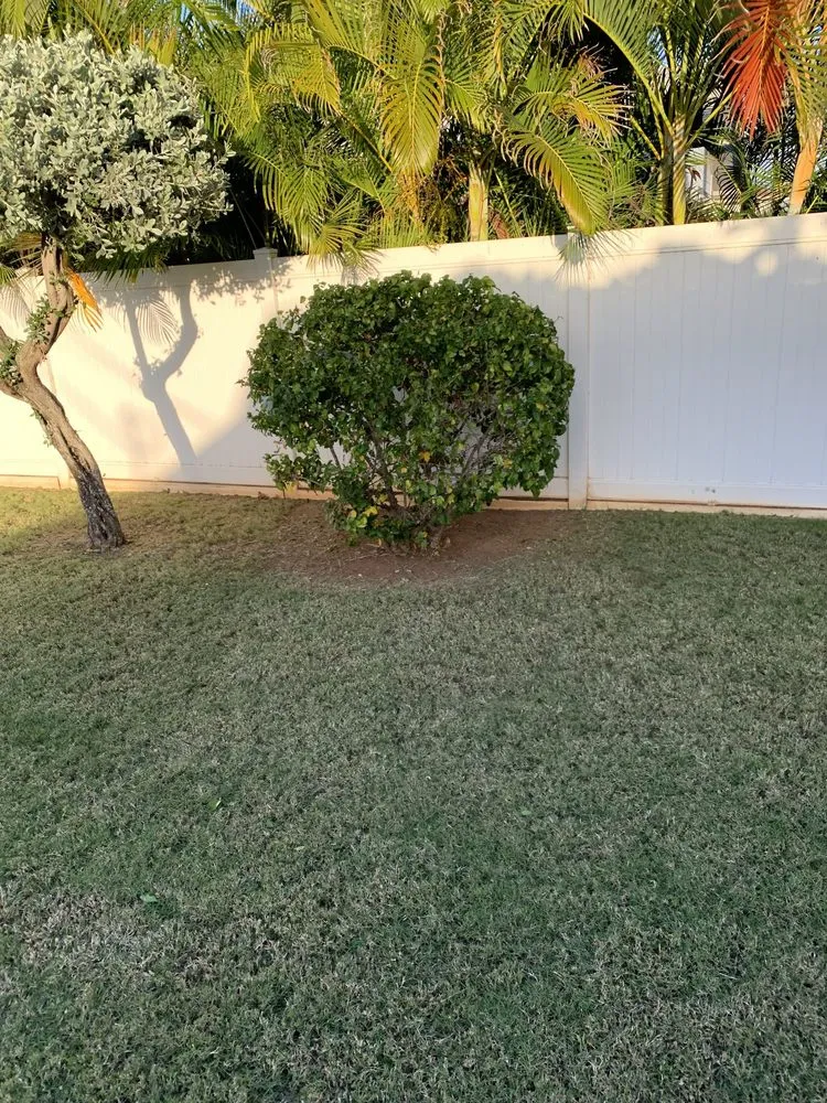 Custom landscape installation in Honolulu, HI - Yago Landscape
