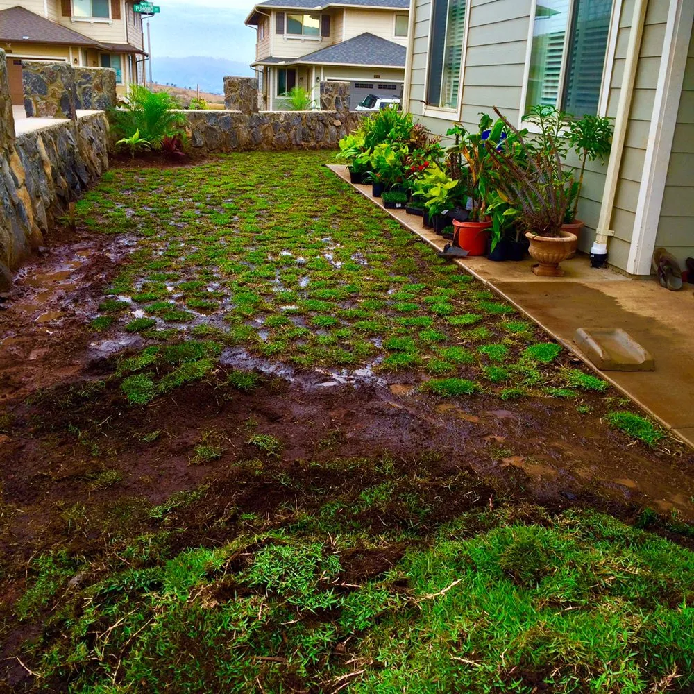 Reliable garden landscaping experts serving Honolulu, HI - Yago Landscape
