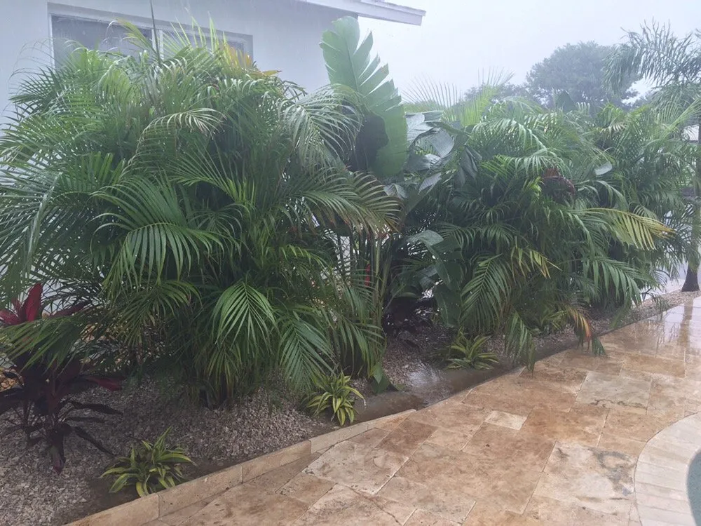 Professional yard maintenance for homes across Saint Petersburg, FL - Yahweh Lawn Care & Landscaping