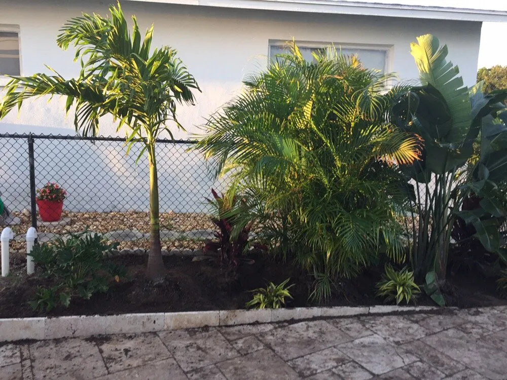 Local residential landscaping in Saint Petersburg, FL by Yahweh Lawn Care & Landscaping