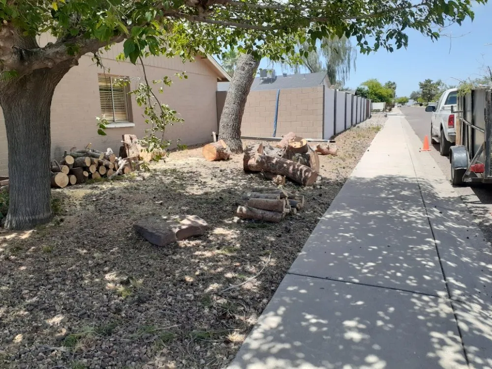 Affordable garden landscaping experts serving Glendale, AZ - Yahweh tree and landscape