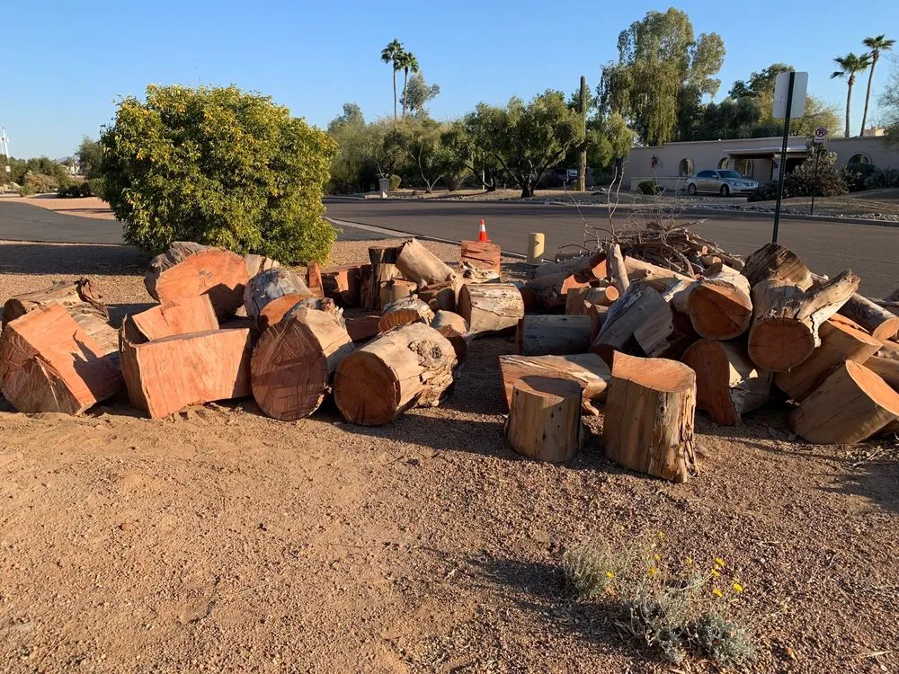 Affordable yard maintenance for homes across Glendale, AZ - Yahweh tree and landscape