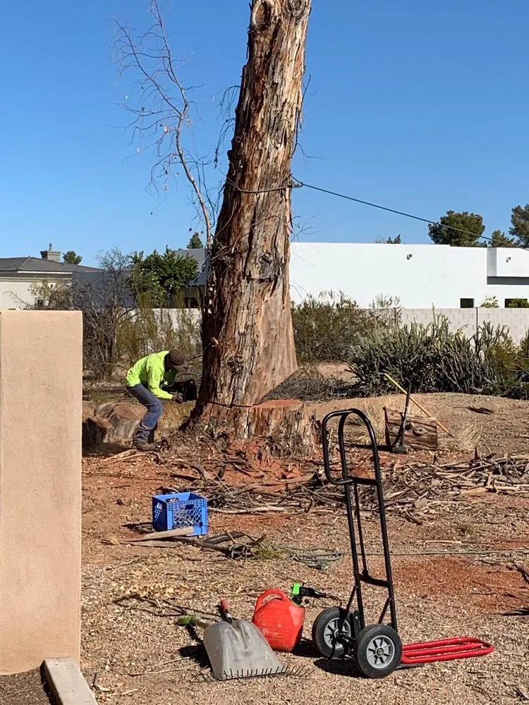 Trusted lawn mowing service for outdoor upgrades in Glendale, AZ by Yahweh tree and landscape