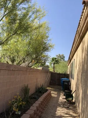 Yahweh tree and landscape Logo