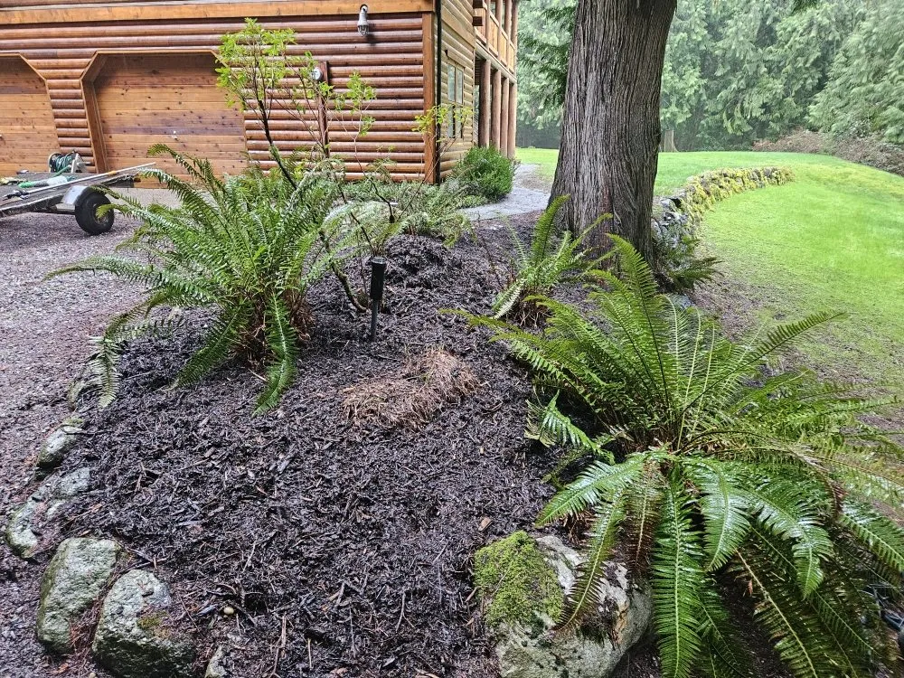 Custom residential landscaping for year-round maintenance in Bainbridge Island, WA by Yak Home Restoration