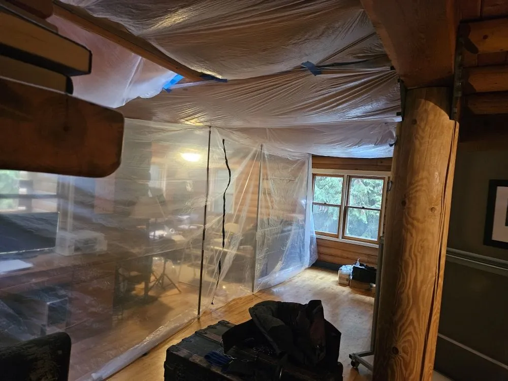 Professional yard cleanup service for residential properties in Bainbridge Island, WA by Yak Home Restoration