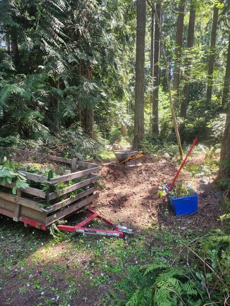 Top-rated yard cleanup service for year-round maintenance in Bainbridge Island, WA by Yak Home Restoration