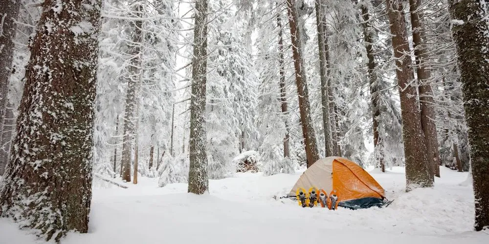 Reliable outdoor landscaping in Colorado Springs, CO by Yakalo Ranch