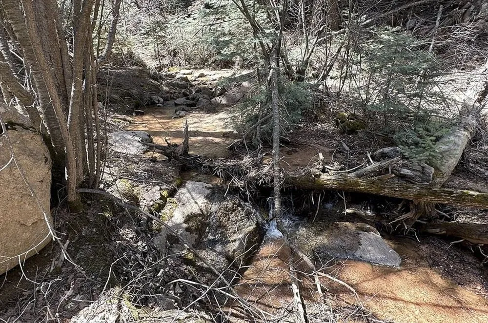 Reliable residential landscaping in Colorado Springs, CO - Yakalo Ranch