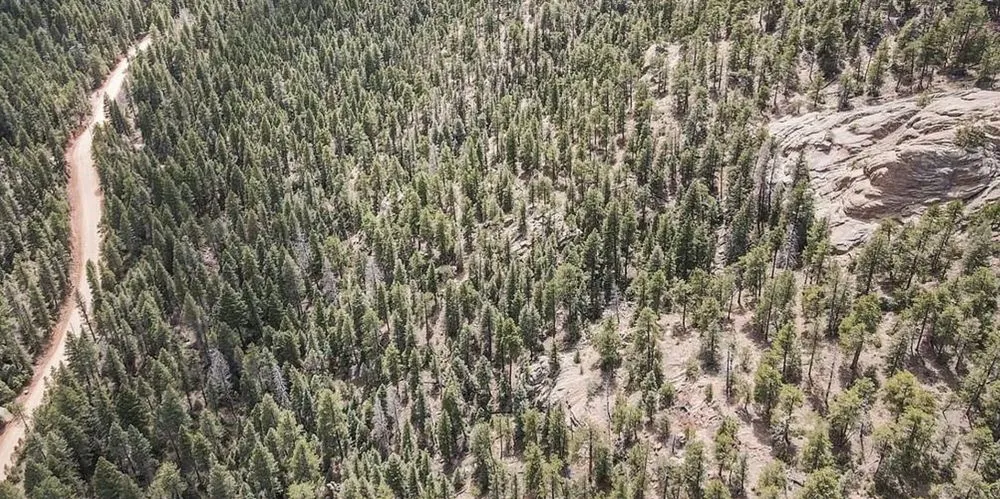 Expert landscaping services for residential properties in Colorado Springs, CO by Yakalo Ranch