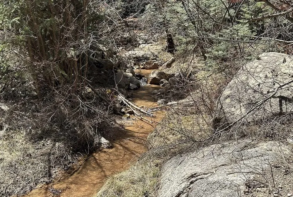 Custom yard cleanup service for residential properties in Colorado Springs, CO by Yakalo Ranch