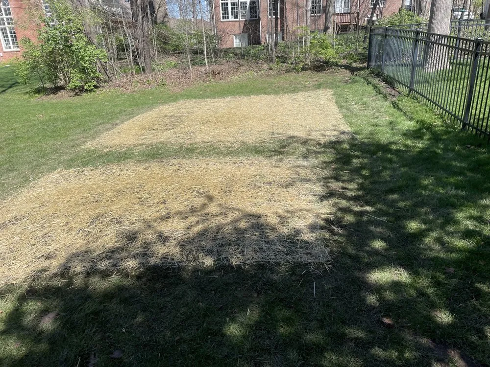 Local lawn mowing service with custom design in Noblesville, IN by Yale Gardens