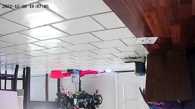 Expert landscape design in Pāhoa, HI by Yamashiro’s Yard Service