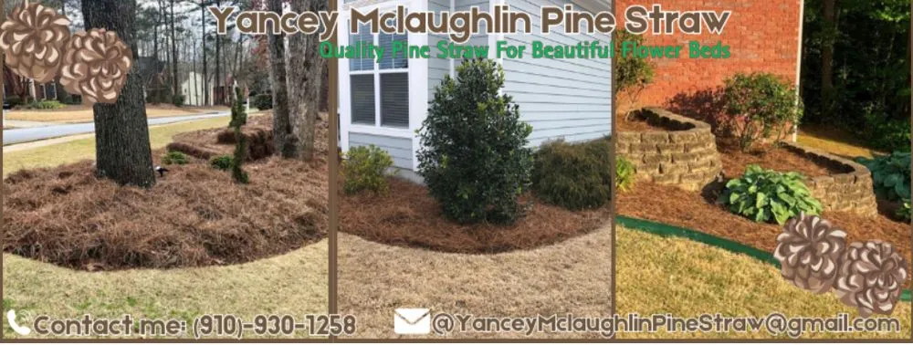 Top-rated landscape design in Raeford, NC - Yancey Mclaughlin Pine Straw