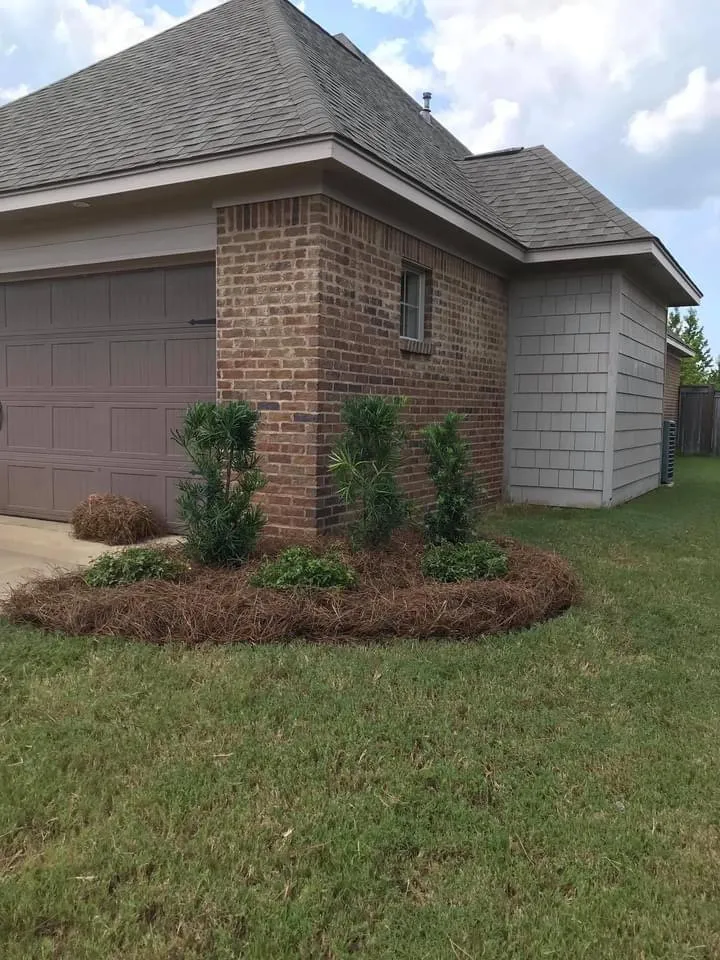 Local yard maintenance for year-round maintenance across Canton, MS - Yandell Landscaping