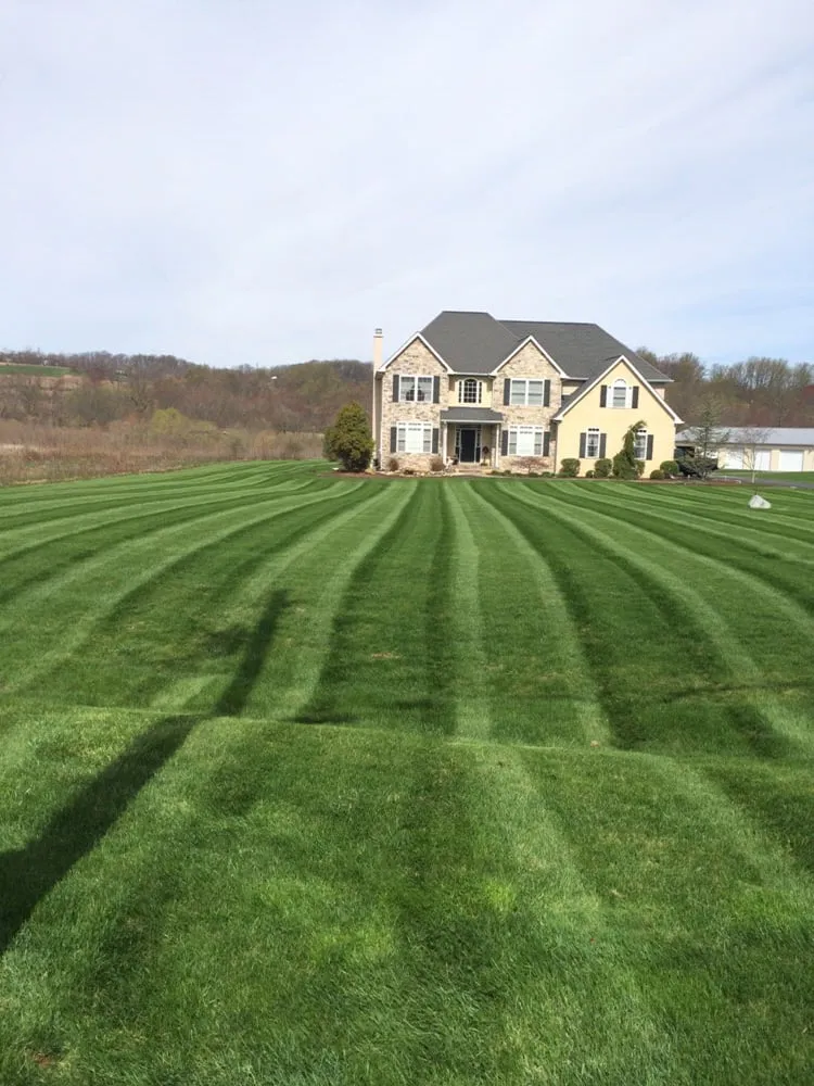 Expert yard maintenance for residential properties across Coopersburg, PA - Yandle's Yardcare