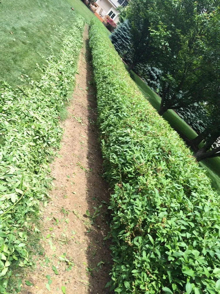 Expert landscaping services in Coopersburg, PA - Yandle's Yardcare