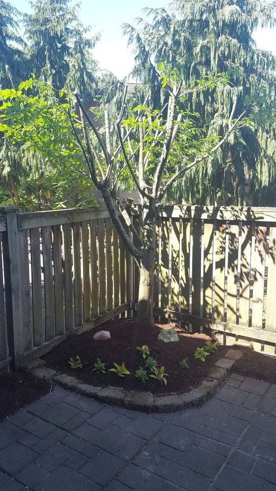 Affordable landscape design in Seattle, WA by Yanes Landscaping