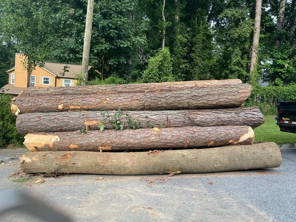 Expert yard cleanup service for year-round maintenance across Norcross, GA - Yanes Tree Service