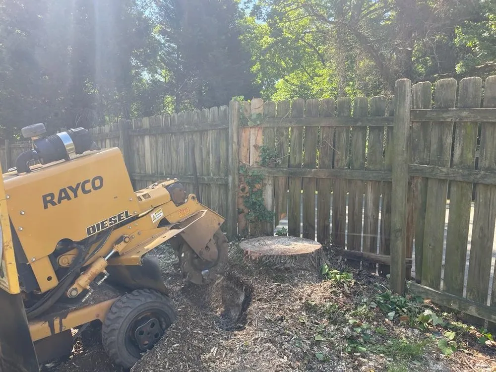 Reliable landscape installation in Norcross, GA - Yanes Tree Service