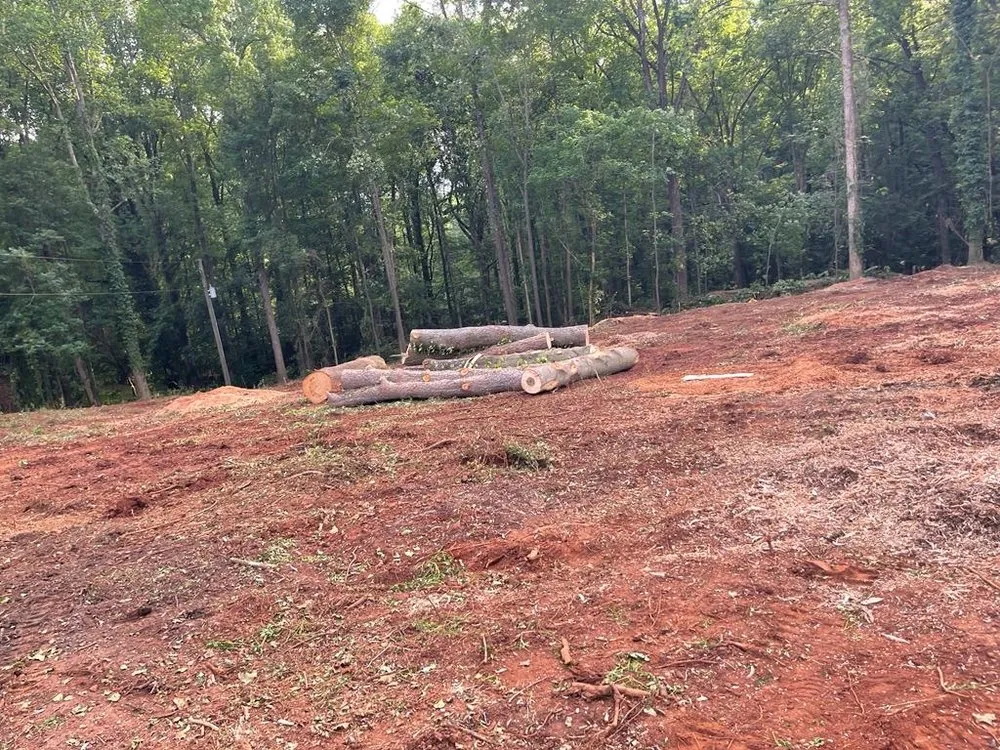 Custom landscaping services in Norcross, GA - Yanes Tree Service