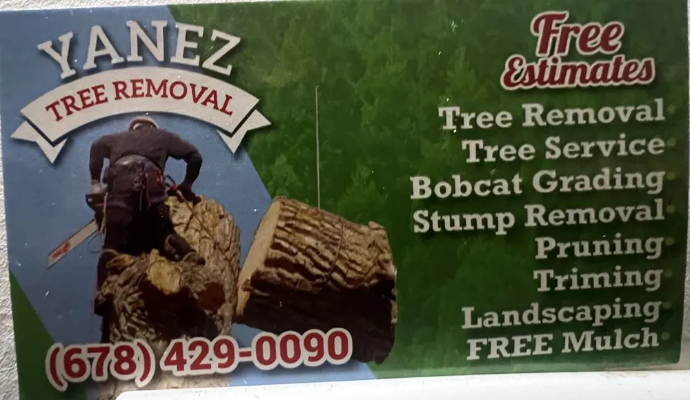 Affordable landscape design in Norcross, GA - Yanes Tree Service