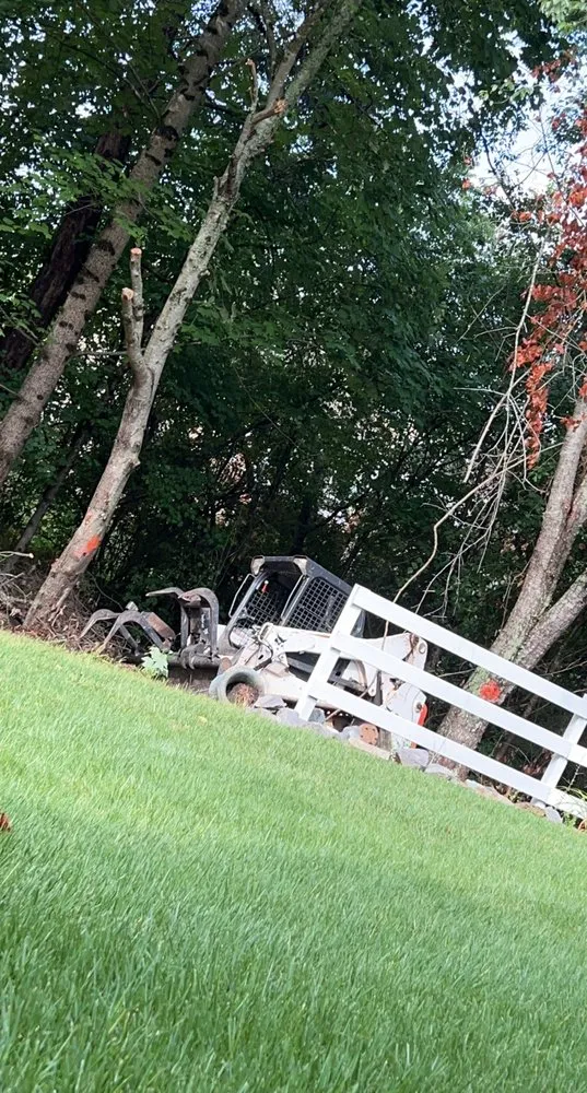 Trusted yard maintenance in Norcross, GA - Yanes Tree Service