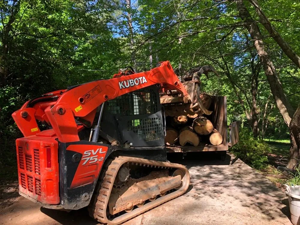 Affordable yard maintenance experts serving Norcross, GA - Yanes Tree Service