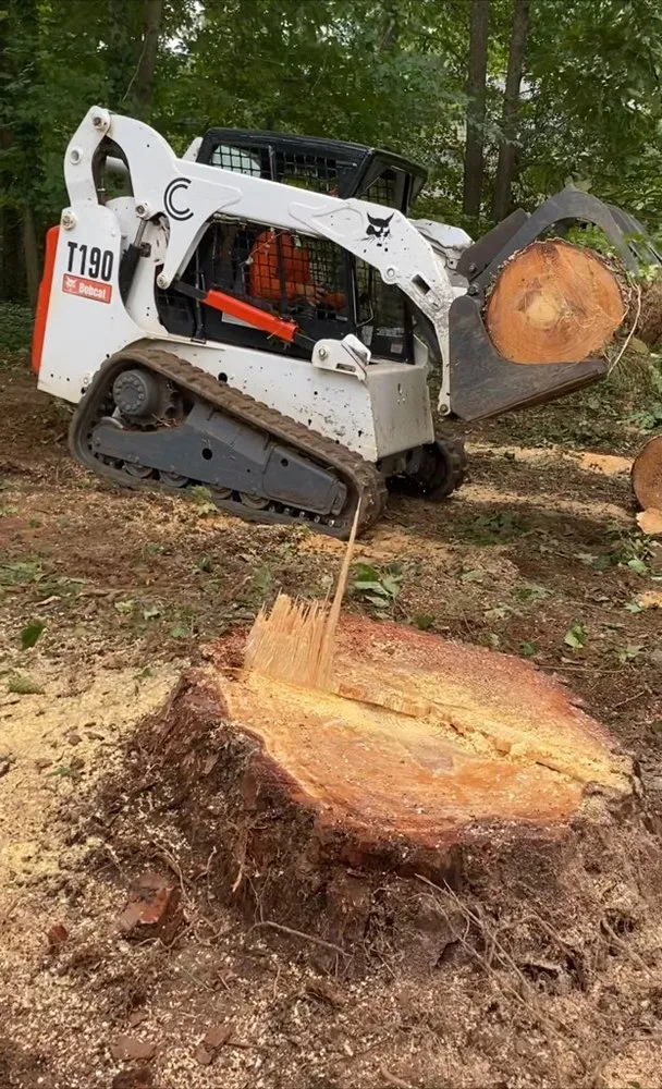 Professional residential landscaping for beautiful yards in Norcross, GA by Yanes Tree Service