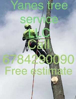 Yanes Tree Service Logo