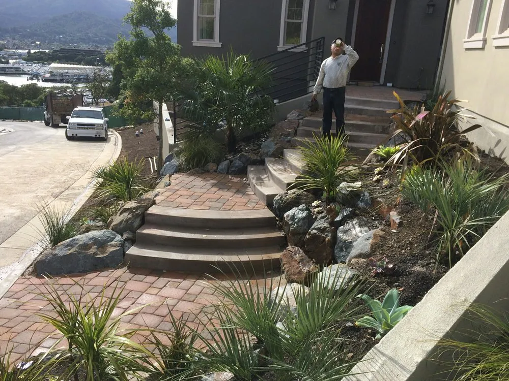 Affordable landscaping services experts serving San Martin, CA - Yanez Gardening