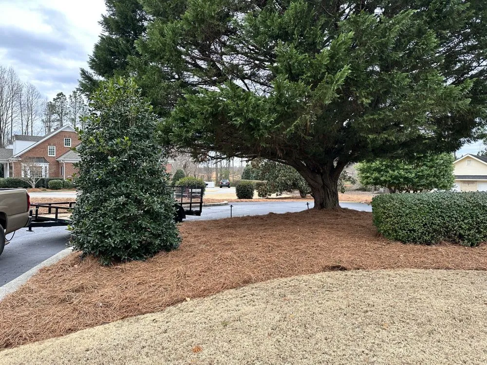 Affordable landscaping services for outdoor upgrades across Zebulon, NC - Yanez Landscaping & Tree Services