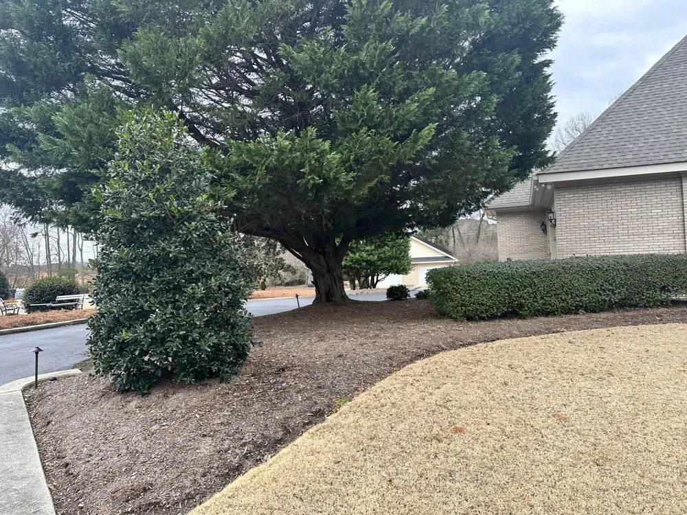 Reliable landscape design for outdoor upgrades in Zebulon, NC by Yanez Landscaping & Tree Services