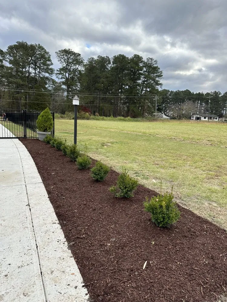 Reliable yard maintenance in Zebulon, NC by Yanez Landscaping & Tree Services
