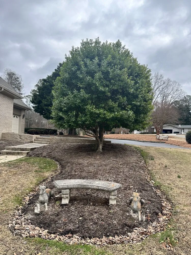 Local landscape installation near you in Zebulon, NC by Yanez Landscaping & Tree Services