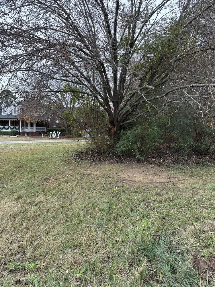 Expert residential landscaping in Zebulon, NC by Yanez Landscaping & Tree Services