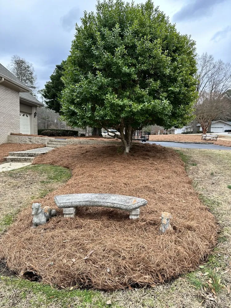 Top-rated residential landscaping for homes in Zebulon, NC by Yanez Landscaping & Tree Services