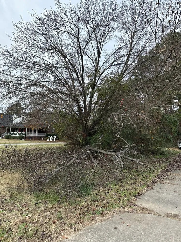 Local lawn mowing service for outdoor upgrades in Zebulon, NC by Yanez Landscaping & Tree Services