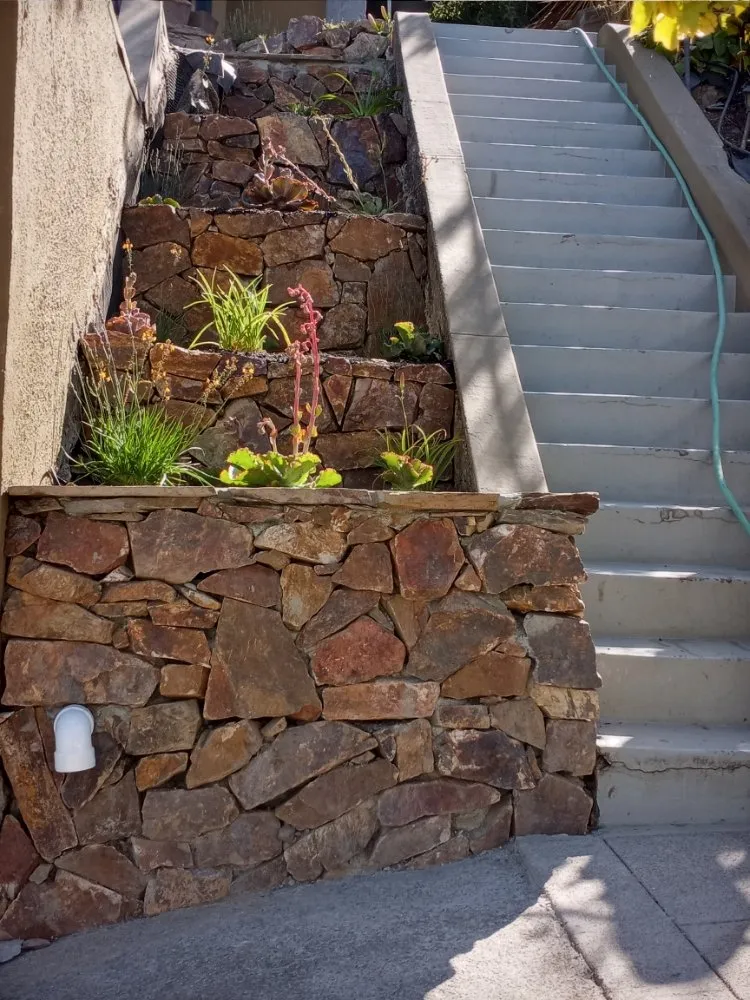 Local lawn care service in San Pablo, CA by Yanez Landscaping