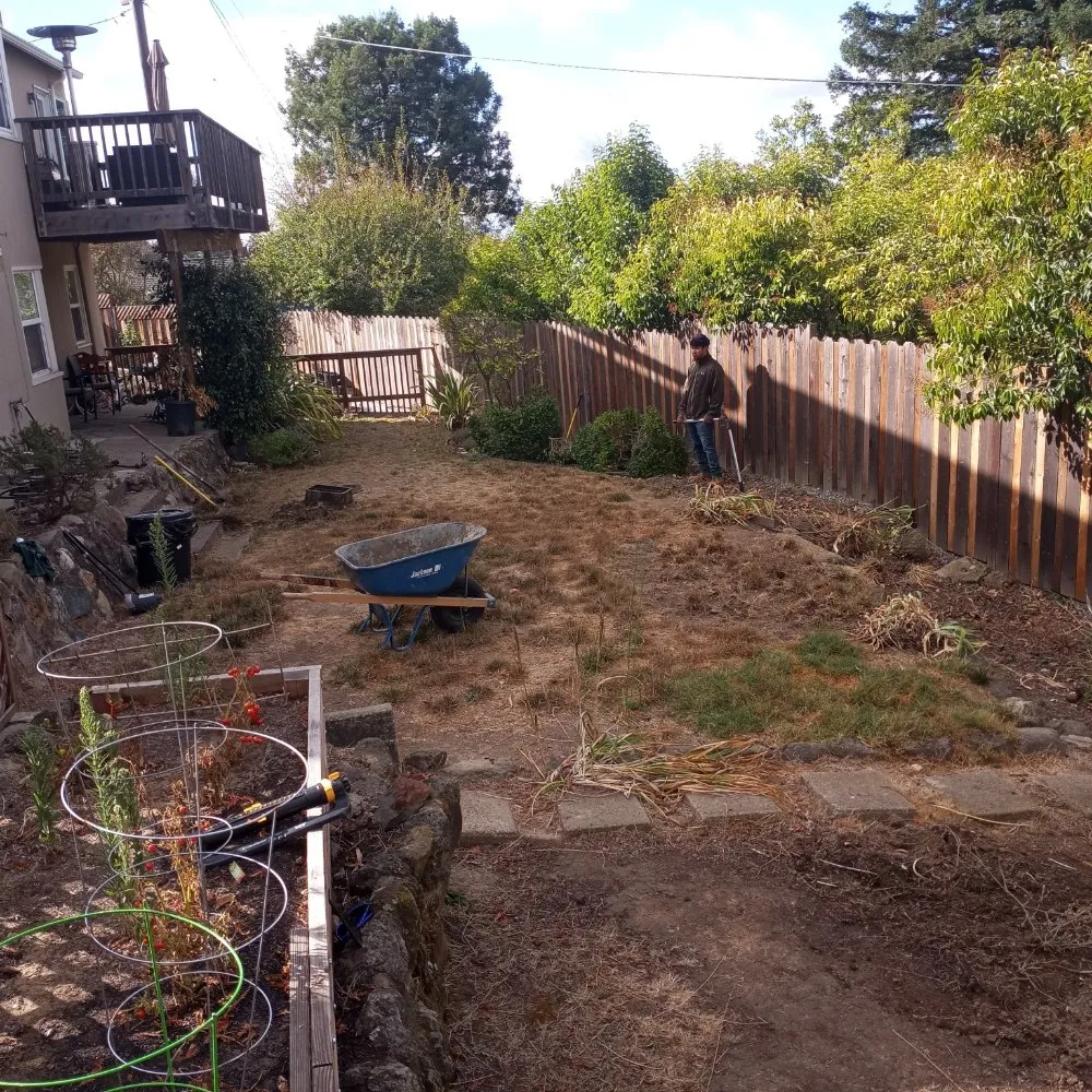 Reliable residential landscaping for year-round maintenance in San Pablo, CA by Yanez Landscaping